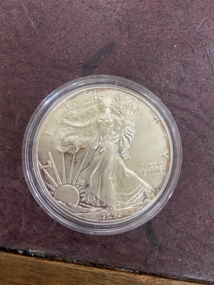 1 Dollaro Argento USA 1 Oz 2012  Liberty - Immagine 1 di 2