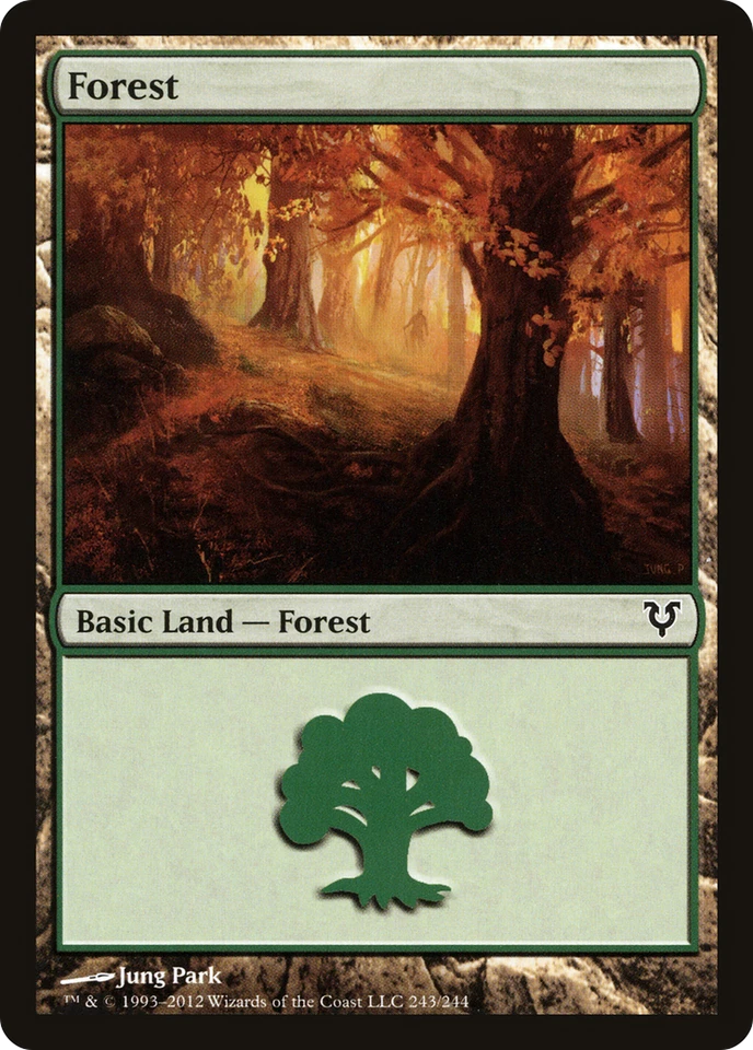 Forest (243) #243 (MP) Avacyn Restored AVR Magic MTG - Image 1 of 1