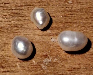 Perle Fine - Picture 1 of 4