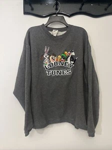 Vintage 90s Looney Tunes Warner Bros Sweatshirt / Sweater Size Large Gray - Picture 1 of 6