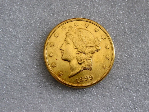 1899s USA 20 DOLLARS GOLD EAGLE COIN Double Eagle  LUSTER Cover