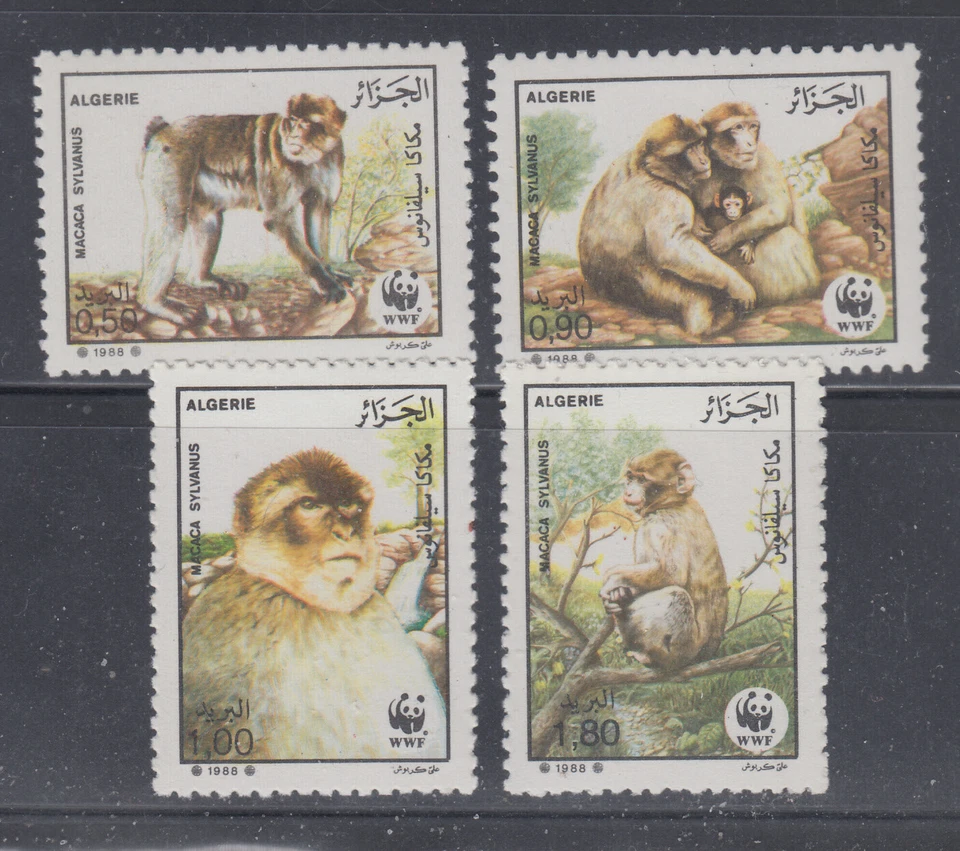 Algeria 1988 WWF monkeys Sc 872-875 cplte mint never hinged - Image 1 of 1