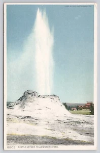 Pub Castle Geyser Yellowstone National Park Wyoming Detroit. Postal - Imagen 1 de 2