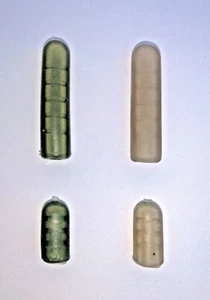 CUENTAS TAMPÓN BALA MOD / PROTECTOR NUDO TRANS VERDE / MARRÓN 12mm / 25mm. - Imagen 1 de 5