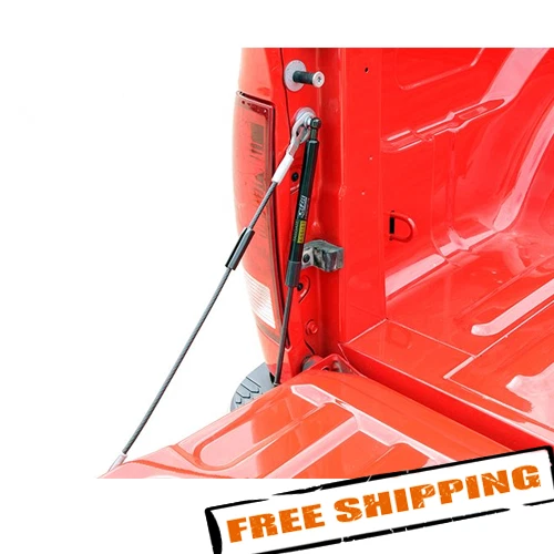 Asistencia de puerta trasera de camioneta Dee Zee DZ43300 para Dodge Ram 2002-2009 Foto 1 de 4