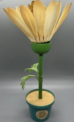 Vintage UNEEDA- Flower Petal People- Dizzy Daisy Doll 30131 - Image 1 of 4