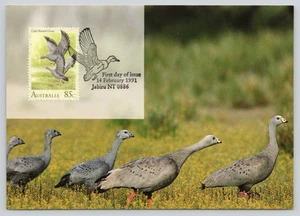 Waterbirds of Australia First Day of Issue Cape Barren Goose Postcard - Picture 1 of 2