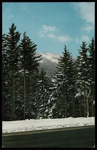 Mt Snow Vermont From Route 100 Postcard - Picture 1 of 2