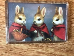 Flopsy, Mopsy und Cottontail -- Peter Rabbit's friends KÜHLSCHRANKMAGNET - Bild 1 von 1