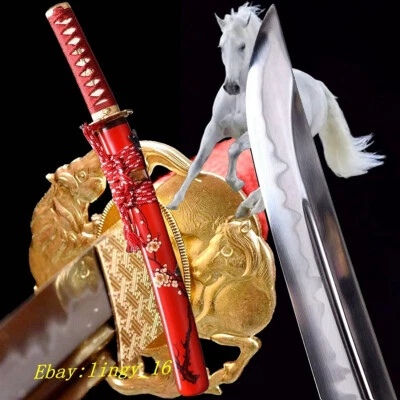 Unokubi Zukuri T10 Acero Tanto Navaja Afilada Latón Caballo Espada Corta Pequeña Katana Foto 1 de 4