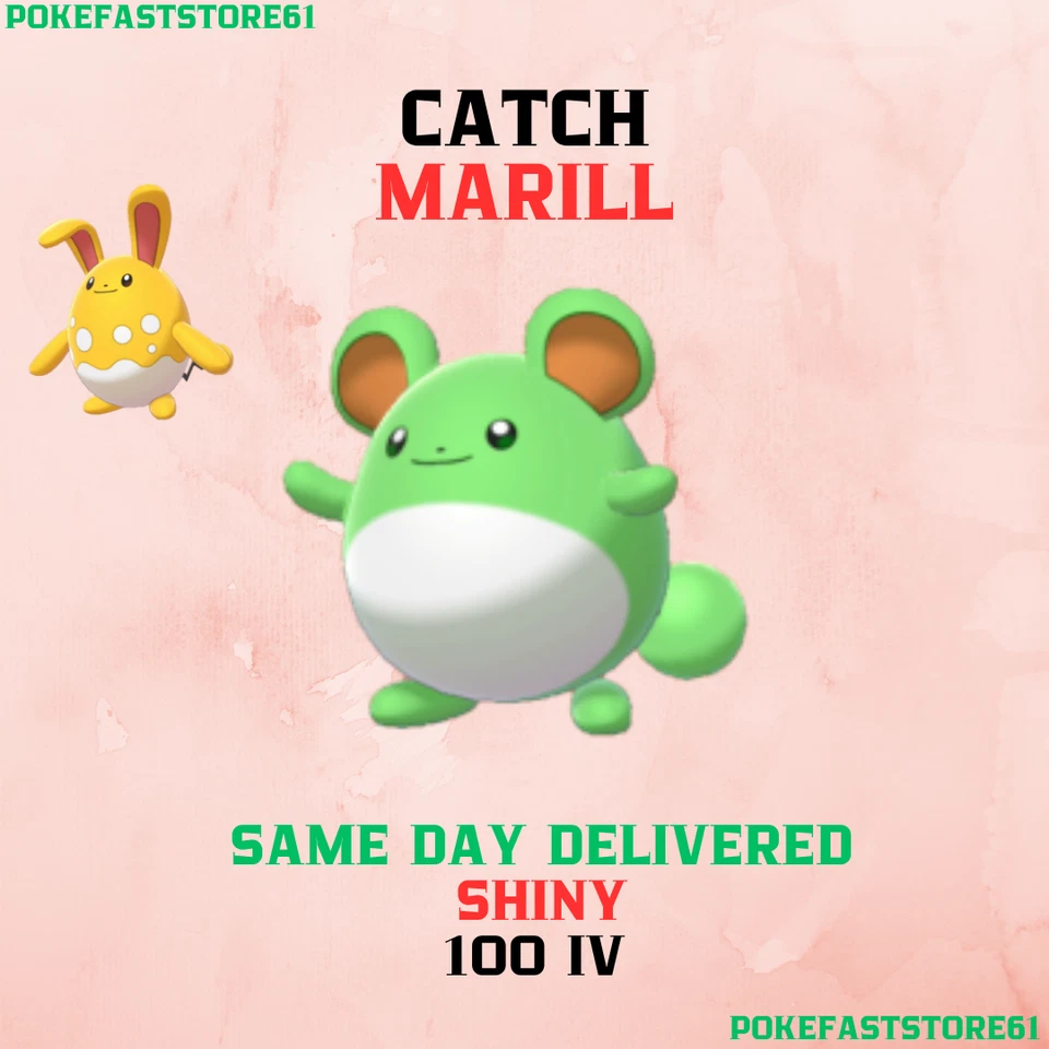 Marill Catch Pokemon Go✨100 iv Catch✨Great-Ultra Rank 1-10✨XL Candy ✨Azumarill - Image 1 of 1