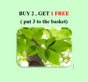 BBQ SMOKING WOOD CHIPS 2L Free Postage - Picture 1 of 23
