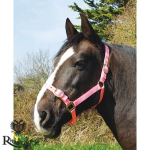 Nylon Headcollar & Lead Rope Set by Rhinegold PINK PONY Fully Adjustable - Picture 1 of 8