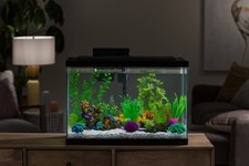 New listing
29 Gallon Fish Aquarium Starter Pack with Led Fish Tank Complete Aqua Kit Filter