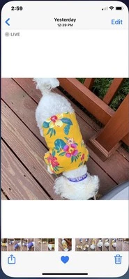  Camiseta de manga corta con estampado hawaiano para perro talla 11 a 15 libras Foto 1 de 3