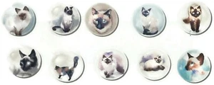 SIAMESISCHE KATZE Tier 10-teiliges Glas Stecknadel Set - Handarbeit Deko Büro Memo - Bild 1 von 3