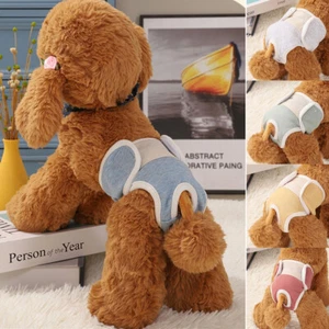 Pantalones menstruales para perras pantalones de seguridad para mascotas pantalones fisiológicos > - Imagen 1 de 17