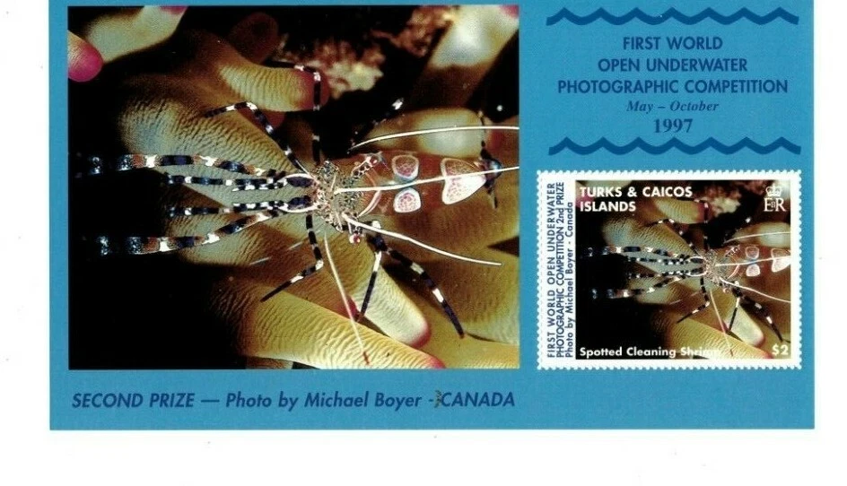 Islas Turcas y Caicos - 1998 - Vida submarina - Hoja de recuerdo - MNH Foto 1 de 1
