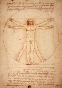 LEONARDO DA VINCI *2X3 MAGNETE FRIGORIFERO* UOMO VITRUVIANO MATEMATICA PROPORZIONE ARTISTA - Foto 1 di 2
