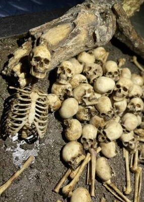 1/12 Scale Human Beings Skeleton PVC Model for Action Figure Accessory Toys NEW - Image 1 of 4