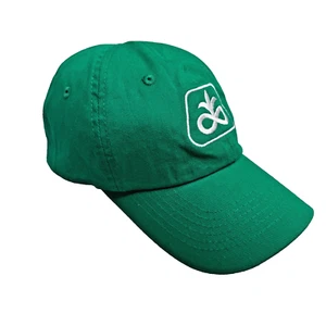Sombrero juvenil Pioneer Seeds verde con correa trasera Corteva Agriscience auténtico- - Imagen 1 de 12