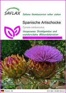 SAFLAX - Samen - Spanische Artischocke - 50 Samen - Bild 1 von 6