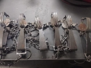 6 neue Oneida Victor Newhouse #1 lange Federfalle Nerz, Muskratte Made in USA - Bild 1 von 7