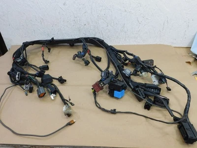 Arnés de cables eléctrico principal Triumph Bonneville T120 2018 Foto 1 de 4