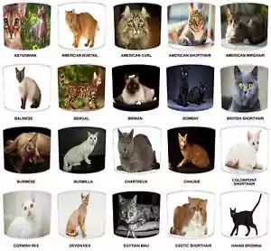 Cat Breeds Of The World Lampshades Duvet Covers Cushions Wallpaper & Wall Murals - Picture 1 of 21