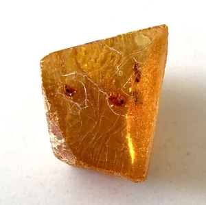 Baltic Amber Yellow Orange 4 Fossils Insects Hexapods Bees Inclusions 17 Grams - Picture 1 of 12