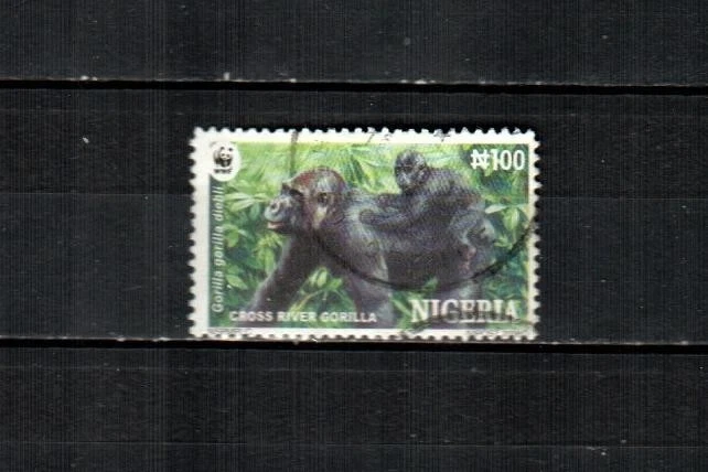 NIGERIA Scott's 804 (1v) Cross River Gorillas F/VF usado (2008) Foto 1 de 1