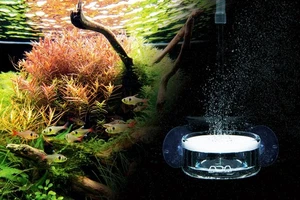 ADA Aqua Design Amano Pollen Glass Beetle 50Φ for CO2 Equipment Diffuser - Picture 1 of 5