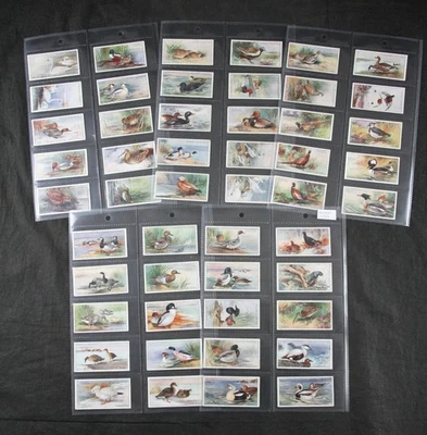 1927 JOHN PLAYER, GAME BIRDS and WILD FOWL, CIGARETTE CARDS, COMPLETE SET of 50 - Image 1 of 4