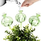 Water Globes for Plants Plant Watering Globes Glass Cactus Watering Bulbs