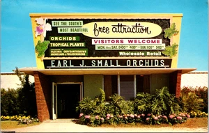 Order Receipt Home Earl J Small Orchids FL POSTCARD 1966 Elizabeth Stran - Picture 1 of 2