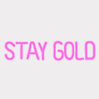Stay Gold LED Neon Schild Pink