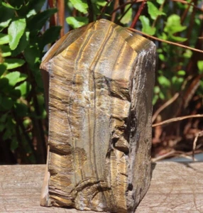 Large Rough & Polished Tiger Eye Crystal Generator 458 Grams Western Australia - Picture 1 of 11