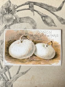 Etiquette Chromo Légume ancien Vilmorin Oignon Ognon Horticulture Catalogue - Picture 1 of 1