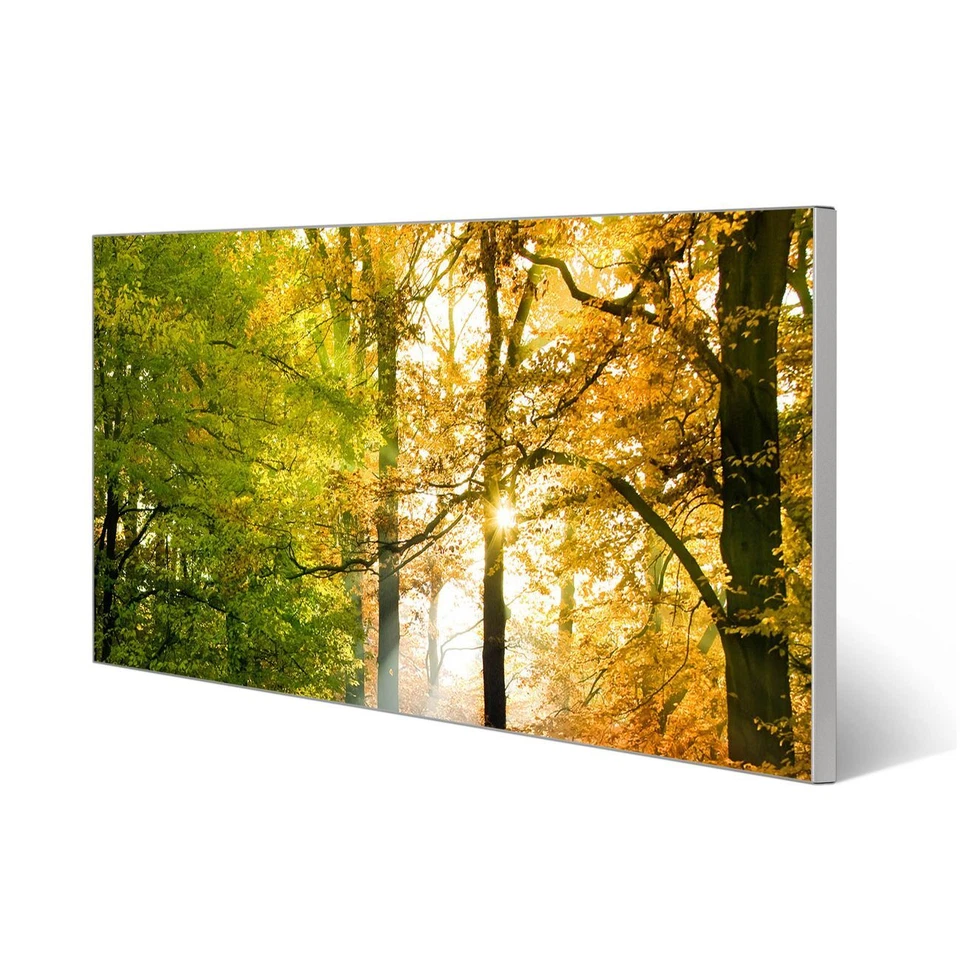 banjado Design Magnettafel mit Motiv magnetische Pinwand Herbstwald - Bild 1 von 1