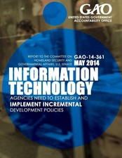 Information Technology Agencies Need to Establish and Implement Incremental Deve