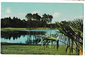 Cartolina PALM COURSE GOLF CLUB Magnolia PGA Walt Disney World Orlando Florida FL - Foto 1 di 2