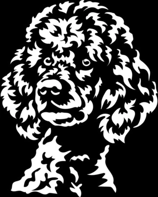 PUDEL Großpudel Aufkleber -  Autoaufkleber - sticker - Pudel Kopf #04 - Bild 1 von 3