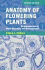 Anatomy of Flowering Plants Rudall Paperback Cambridge University Press 4e