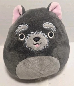 Squishmallows Chuy the Black Cairn Terrier Puppy Dog 5" Plush Gray Stuffed Toy  - Picture 1 of 6