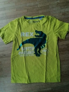 Bpc, Tshirt Für Jungen, Dinosaurier, Hellgrün, Größe 122, Wendepailletten - Bild 1 von 4
