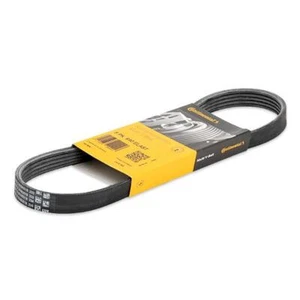 CINGHIA SERVIZI ALTERNATORE POLY V PER FORD FIESTA FUSION 1.4 1.6 1.25 TOURNEO - Imagen 1 de 3