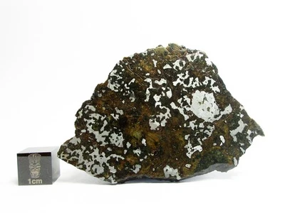 El Eglab 001 23.09g Full Slice Mesosiderite Meteorite - image 1 of 3