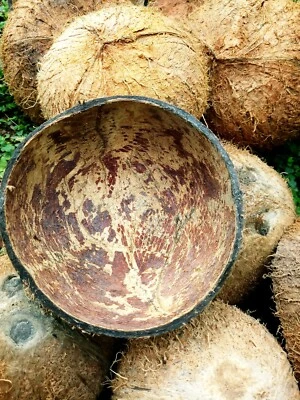 1 pieza mitad de cáscara de coco con fibra 100 % natural cáscaras orgánicas ecológicas Foto 1 de 4