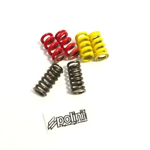 KIT MOLLE MOLLETTE FRIZIONE 2 MASSE POLINI MINI MOTO POLINI MINIBIKE MINICROSS  - Imagen 1 de 1