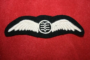 ALA DE PILOTO DEL CUERPO DE CADETES DE DEFENSA AÉREA BRITÁNICA 2 RAYAS EXCELENTE COPIA RARA - Imagen 1 de 1
